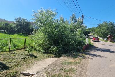 Teren la asfalt la Manastirea Doamnei - 2