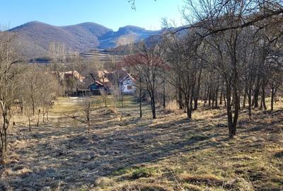 Teren intravilan 1.271 mp – Izvoarele, jud. Alba - 22