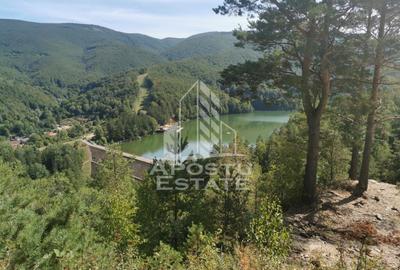 Teren intravilan, 2000mp, cu vedere panoramica spre lacul Valiug - 2