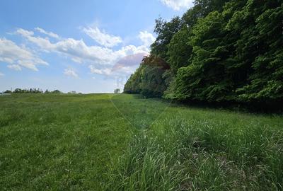 Teren Ilisesti  7000mp extravilan/ DN 17, Suceava - 8