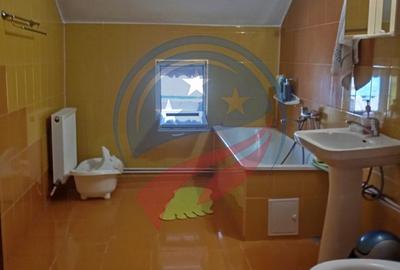 CASA COCHETA CU TEREN GENEROS - CATARGIU - 16