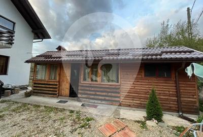 Pensiune -  Casa de vacanta - Bran - 18