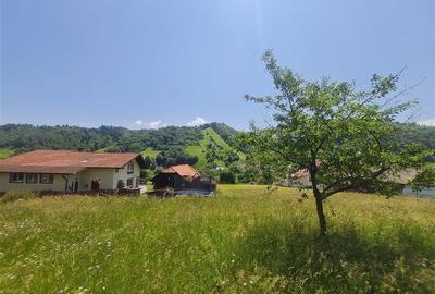 Teren 1.450 mp intravilan, la DN, cu priveliste de carte postala, Bran, Moieciu, - 11