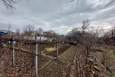 TEREN 2300mp  |  KAMSAS  |  CONSTANTA - 5