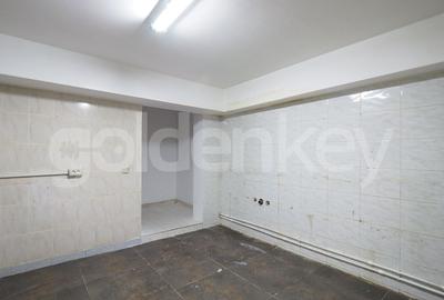 Vila D+P+1+M | 10 camere, 555mpc |  Parc Verdi - Lac Floreasca - 18