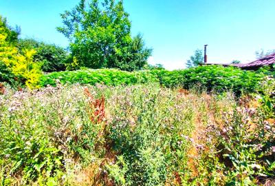 OVIDIU TEREN DE VANZARE - 1