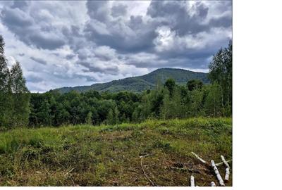 Teren ideal refugiu de weekend, 3182 mp/Plata in 2 rate ! - 1