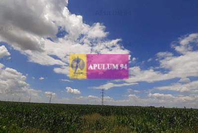 Teren 715mp în Snagov lângă Equestria - 26