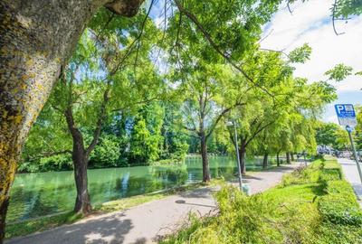 Teren generos și casă deosebită lângă Parcul Central - 15
