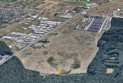 Teren Voluntari Padurea Baneasa - 5