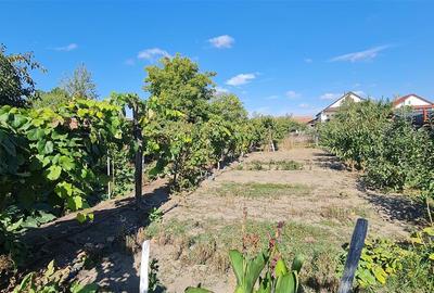 Casa de inchiriat pe calea Radnei - strada principala - 21