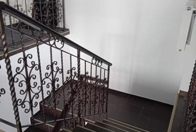 Vila moderna si spatioasa, constructie 2015, zona Mosilor - 6