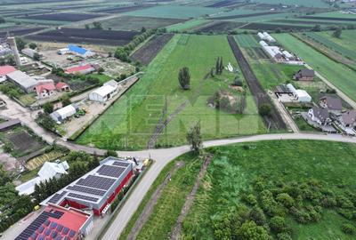 Teren 2648 mp | Strada Francei | Ideal hale sau investitie - 15