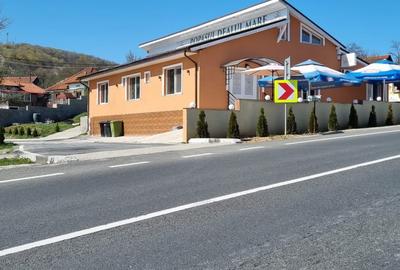 Vand pensiune in Dealu Mare (Comuna Valisoara), judetul Hunedoara, - 1