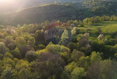 Teren generos de vânzare cu vedere spre Iezer in Bughea de Sus - 6