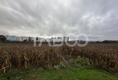 Teren intravilan de vanzare 10000 mp cu utilitati in apropiere - 2