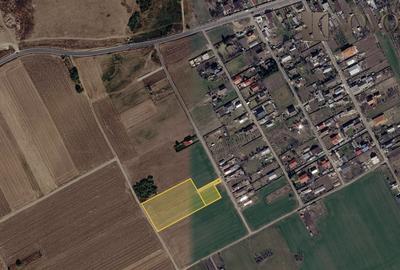Teren 8000 mp | Sitaru-Gradistea | Oportunitate Dezvoltare - 2