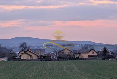 TEREN INTRAVILAN IN LILIECI, BACAU - 5