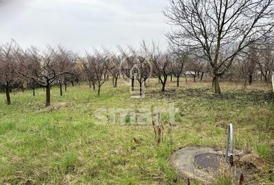 Teren construibil 800mp Borhanci zona Romul Ladea - 3