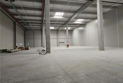 Spatiu Industrial - 3500 mp - Logistica - Productie - Depozitare - Distributie - 2