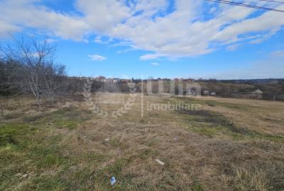 Teren intravilan 4087mp | 34 m front | Dambul Rotund | Zona Lombului - 2