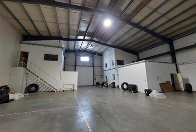 3 hale de inchiriat in Micalaca - 6