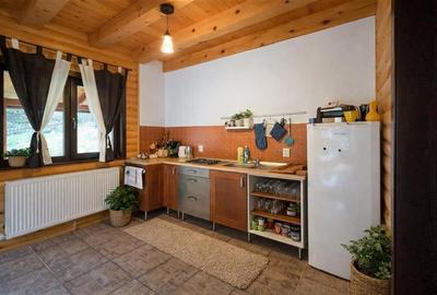 FILM! Rezidenta pe apreciabile conditii, in statiunea Sugas Bai, Covasna - 20