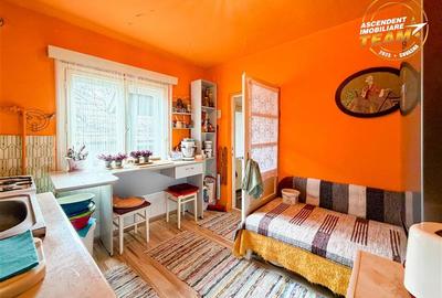 Casa traditionala, cu 709 mp teren intravilan zona apreciabila, Sfantu Gheorghe - 3