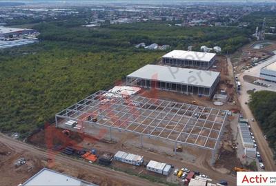 Hala de inchiriat in Catted Business Park Stefanesti - 5
