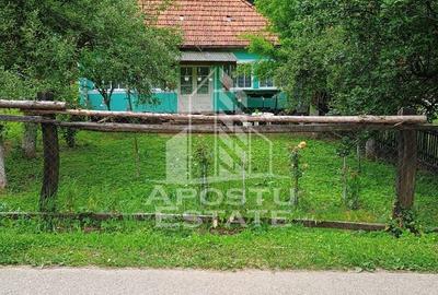 Casa batraneasca de vanzare, 4 camere, in Hunedoara, sat Micanesti - 42