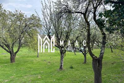 Teren Intravilan | 855 MP | Săliște - 2