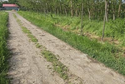 Teren intravilan - 4752 mp - 8 loturi de 594 mp - com Gruiu-Lipia - km 31 A3 - 3