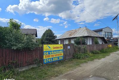 Margineni (Royal Garden), 3350 mp intravilan, stradal - 4