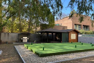 Penthouse parc Herastrau sos Nordului + 400 mp curte cu piscina - 16