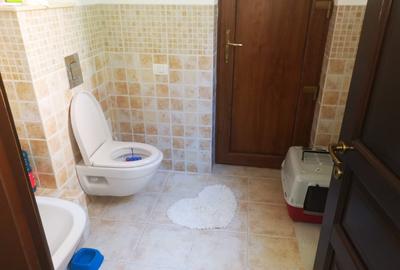 Vila Trivale - Montanstar, teren 1.750mp, piscina, mobilata - 7