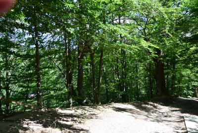 Casa de vacanta noua complet mobilata si utilata - 9