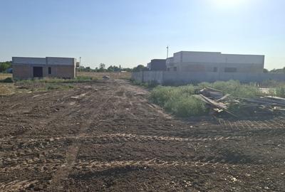 Ciutaci, str. Salciei, 800 mp, deschidere 40 ml, drum 11 ml, vile in constructie - 40