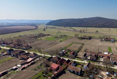 Loc de casă în Odvoș - Conop 3000mp - 18