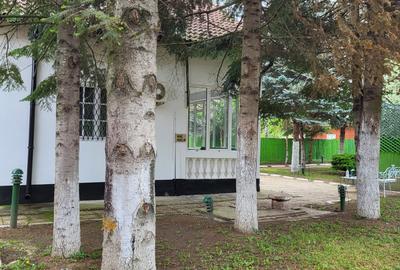 Refugiul tău verde, aproape de oraș la Snagov - 2