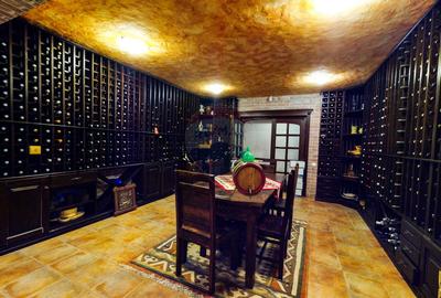 Bijuterie arhitecturală unică | teren de tenis | finisaje premium - 9