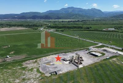 Teren pentru dezvoltare industrială/comercială 23.200 mp Râșnov DN73 - 3