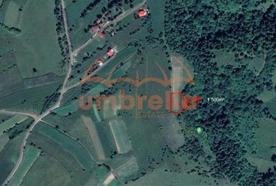 Teren de vanzare Marisel 1.500m²/19€ m² - 3