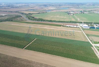 Teren intravilan de vanzare, 66400 mp, langa Oradea, Bihor - 8