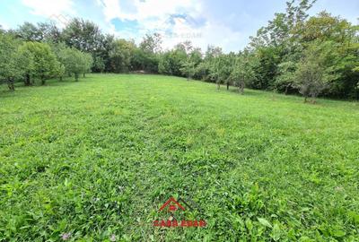 ●Teren intravilan in Poiana Campina,zona retrasa,3287 mp,10e● - 1