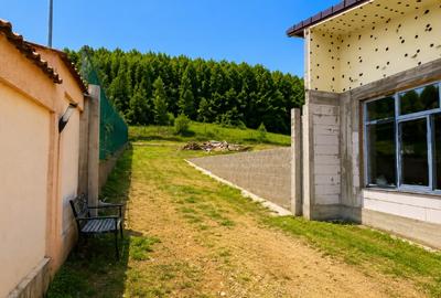 VILA IMPRESIONANTA / PROPRIETATE EXCLUSIVISTĂ - potential turistic si de afaceri - 6