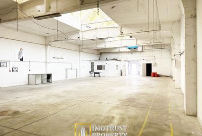 Hală industrială 431 mp de închiriat – central Arad, acces TIR - 4