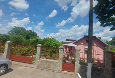 Snagov- Gruiu- Santul Floresti -Proprietate cu stil pentru oameni gospodari! - 34