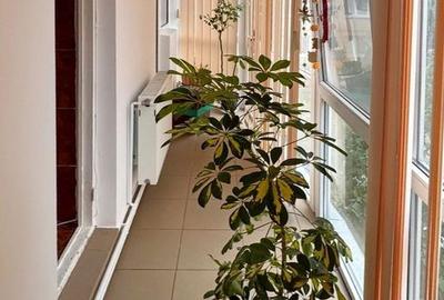 APARTAMENT 3 CAMERE ASTRA - 12