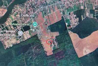 Vanzare teren constructie casa CIOFLICENI - SNAGOV - 2