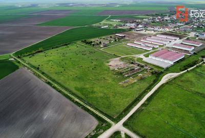 Teren intravilan cu suprafata de 58.340 mp, in Sanmartinul Sarbesc - 16
